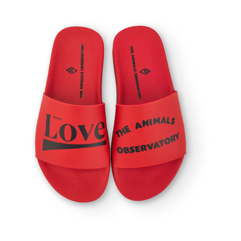 The Animals Observatory Red Slides