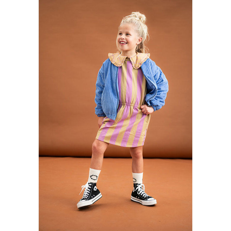 Sproet and Sprout Purple Pink Block Stripe Skater Dress