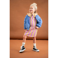 Sproet and Sprout Purple Pink Block Stripe Skater Dress