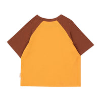 Tiny Cottons Orange/Dark Brown Star Tee