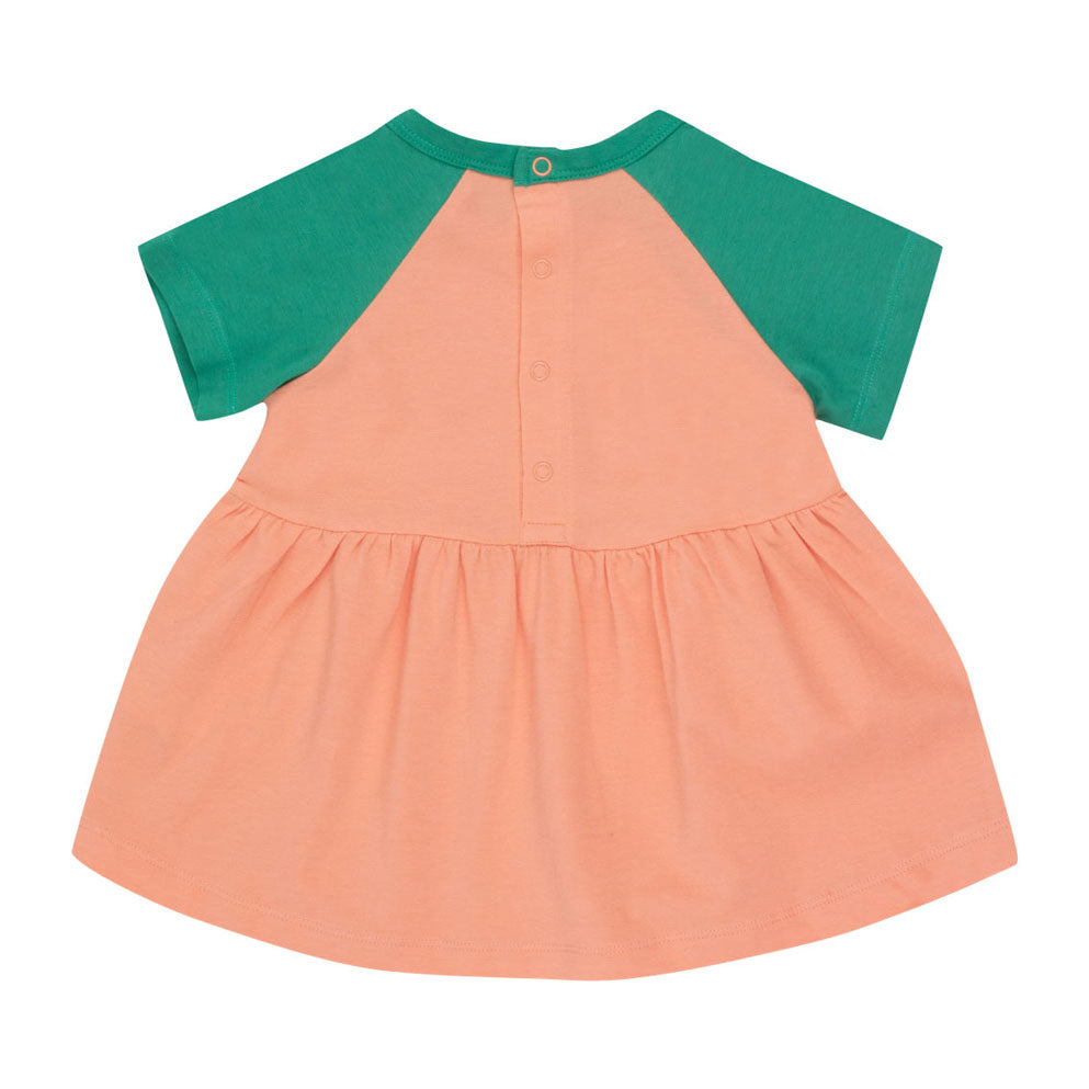 Tiny Cottons Papaya/Emerald Wonderland Baby Dress