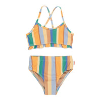 Tiny Cottons Multicolor Stripes Swim Set