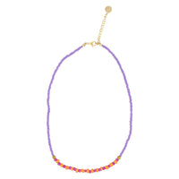 Piupiuchick Orange/ Violet 2 Pack Necklaces