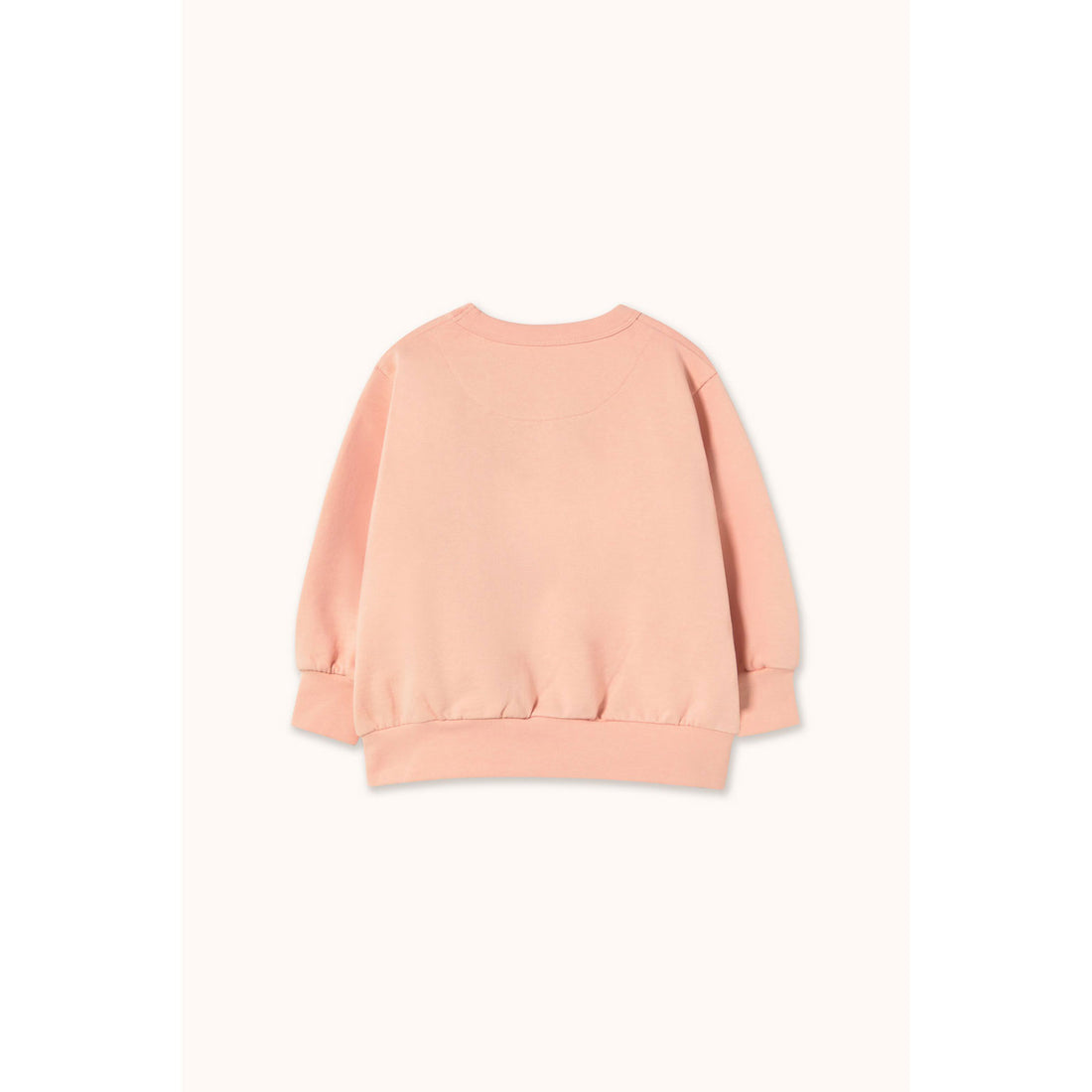 Tiny Cottons Wild Rose Graphic Sweatshirt
