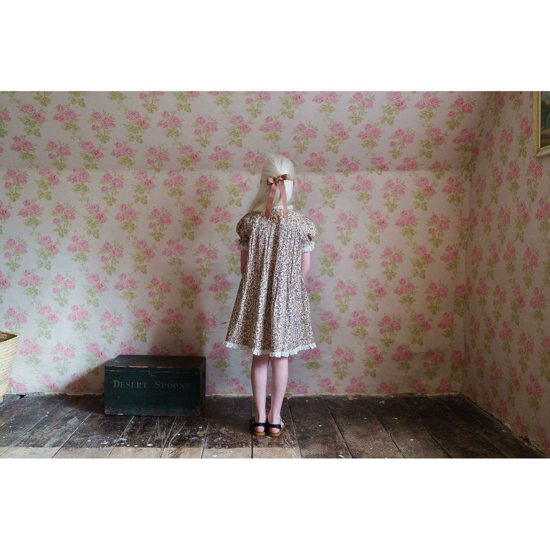 Little Cotton Clothes Yarrow Floral Elizabeth Dress