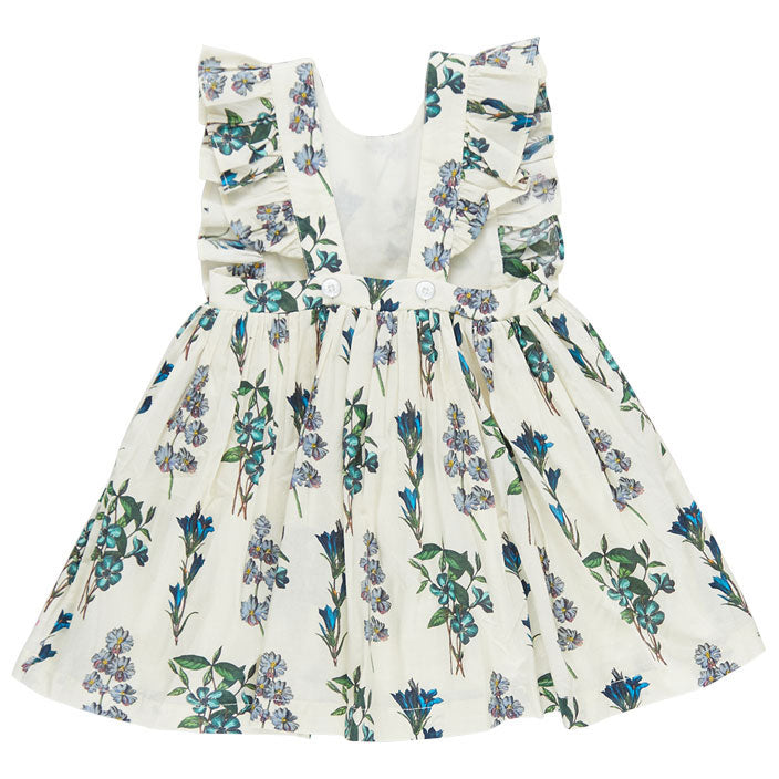 Pink Chicken Blue Botanical Marceline Dress