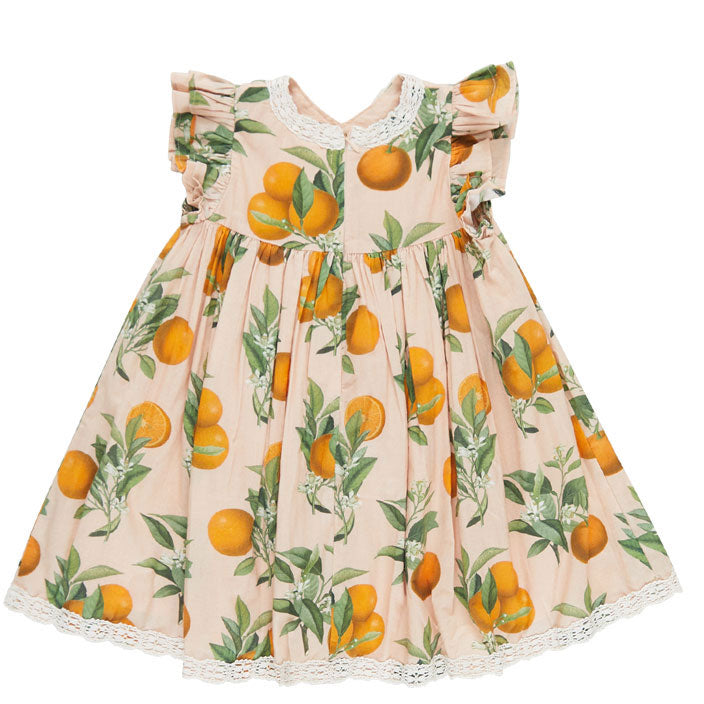 Pink Chicken Pink Botanical Oranges Katherine Dress