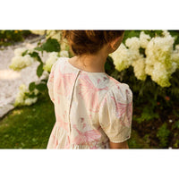 Pink Chicken Ballerinas Meredith Dress