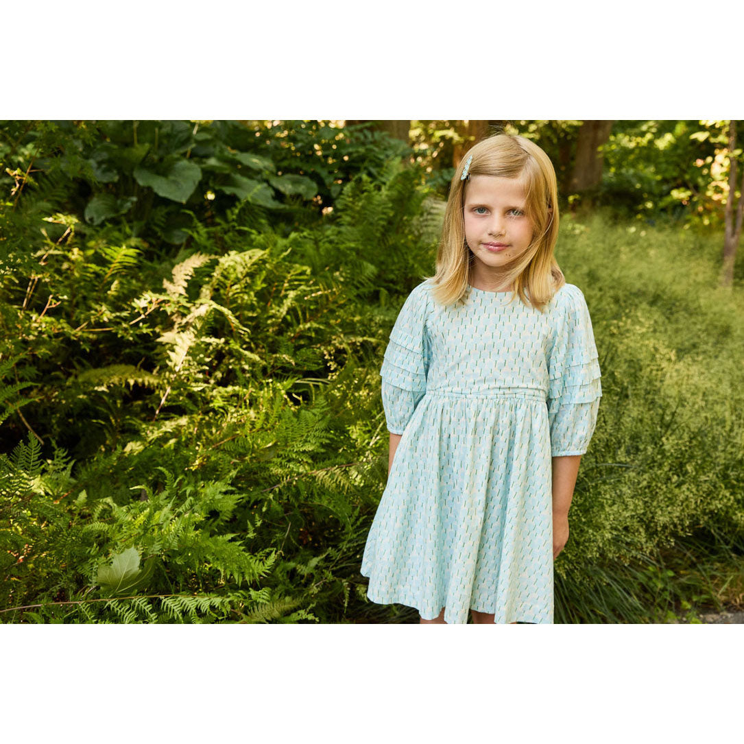 Pink Chicken Blue Tulips Brooke Dress