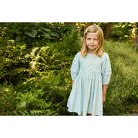 Pink Chicken Blue Tulips Brooke Dress