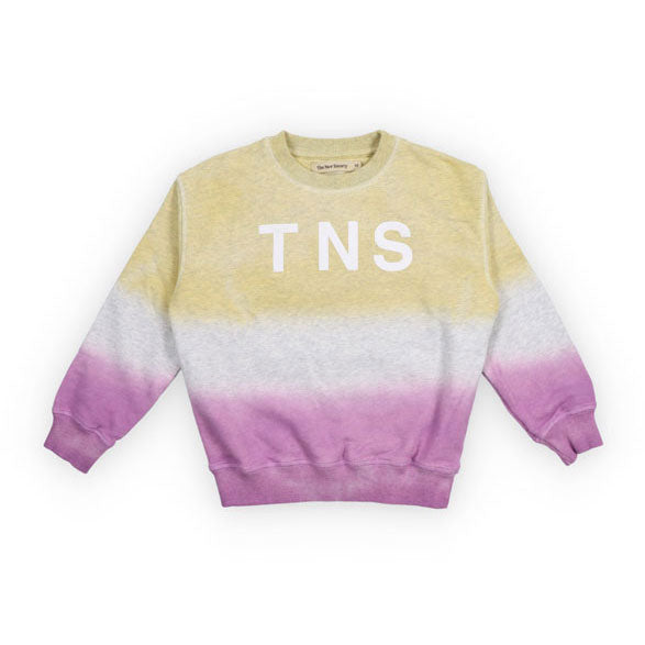 The New Society  Seafoam Green Tie Dye Sweatshirt