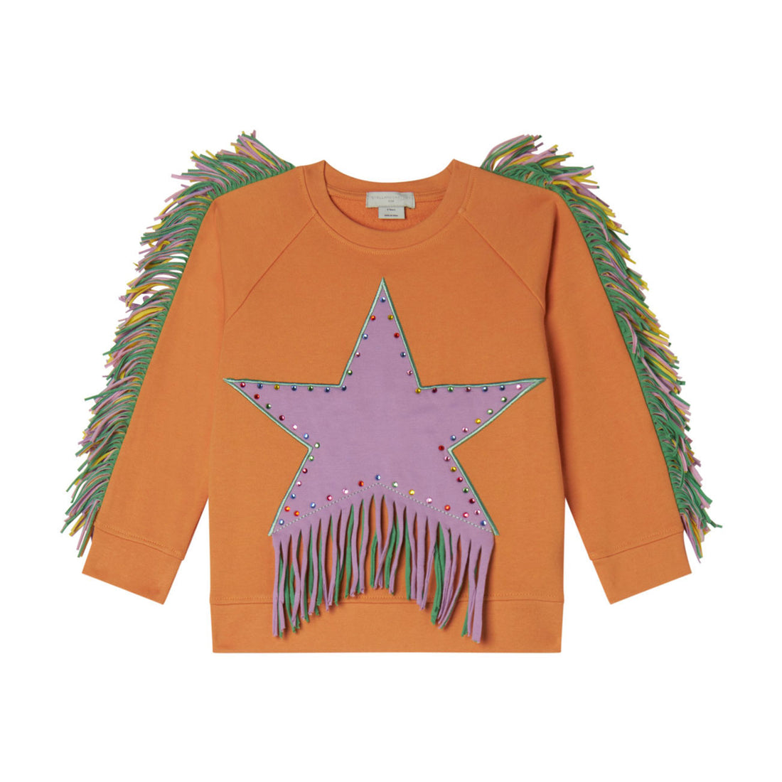 Stella Mccartney Orange Stra Print Sweatshirt