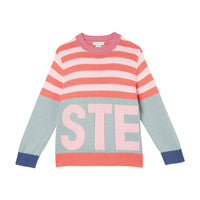 Stella McCartney Multi Stripe Logo Sweater