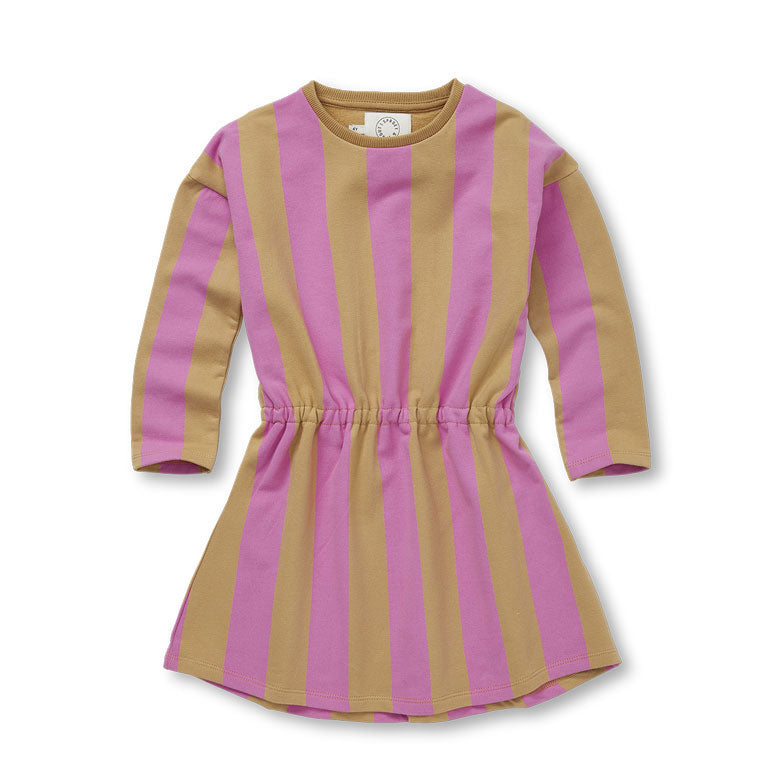 Sproet and Sprout Purple Pink Block Stripe Skater Dress