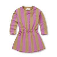 Sproet and Sprout Purple Pink Block Stripe Skater Dress