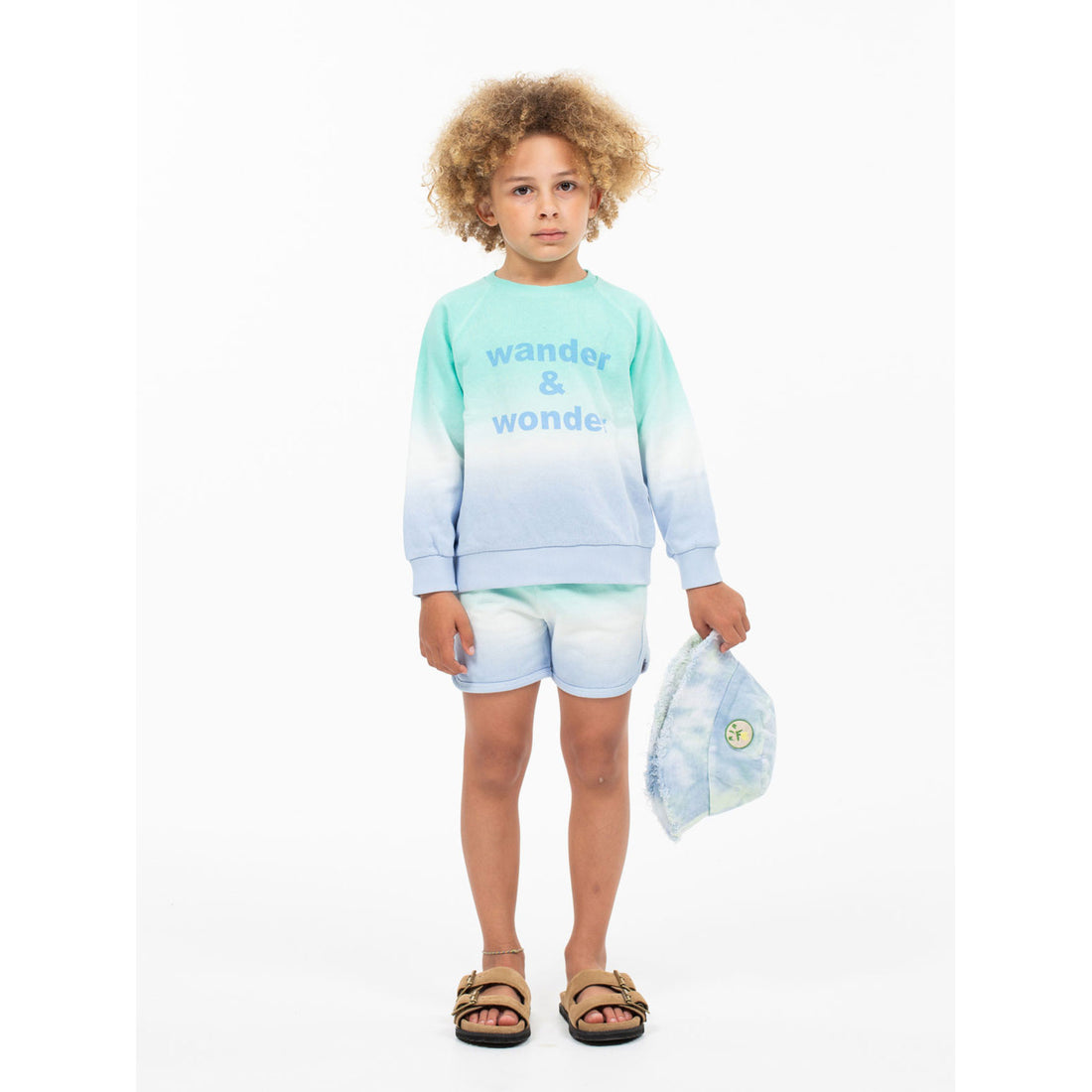 Wander and Wonder  Arctic Ombre Sweatshirt