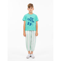 Wander and Wonder  Agua Ice Cream Tee