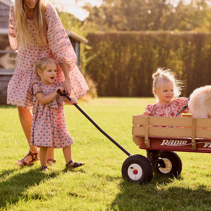 Pink Chicken Pink Dahlia Brayden Dress
