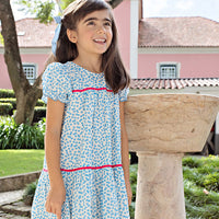Pink Chicken Blue Mini Squares Fiona Dress