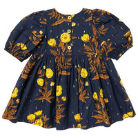 Pink Chicken Navy Poppy Brooke Dress