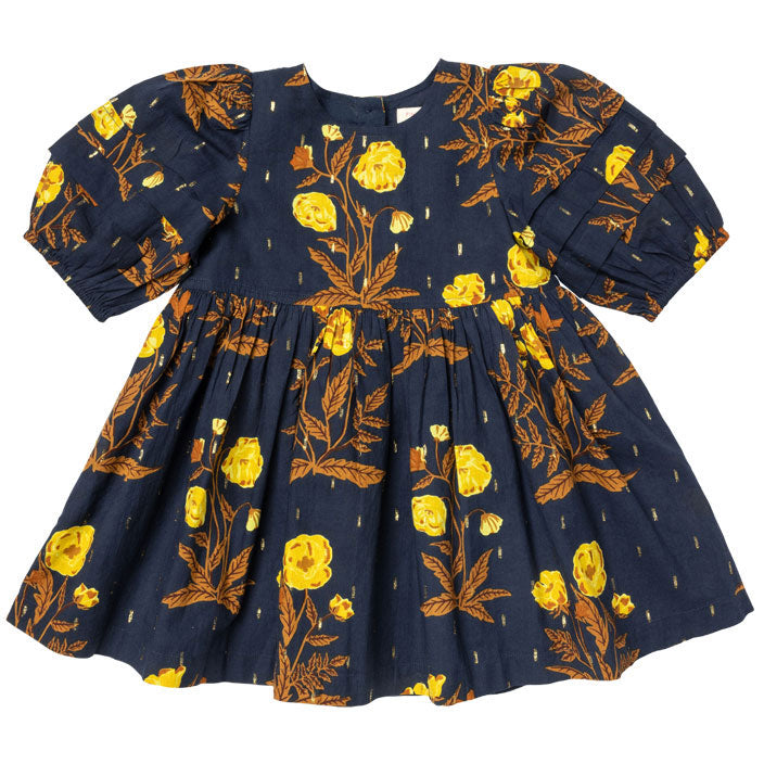 Pink Chicken Navy Poppy Brooke Dress