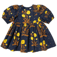Pink Chicken Navy Poppy Brooke Dress