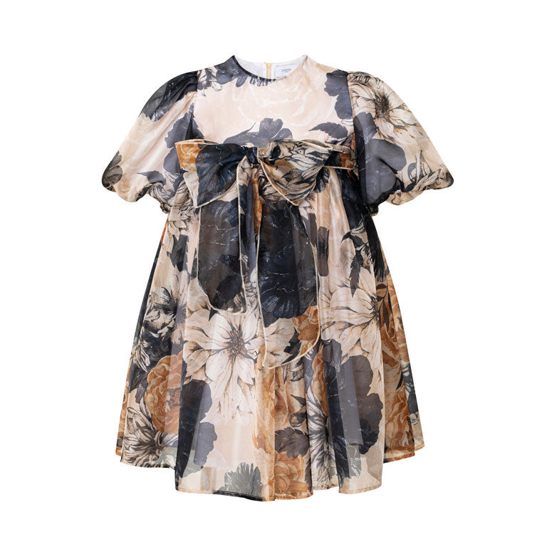 Paade Mode Multicolor Laura Chiffon Dress