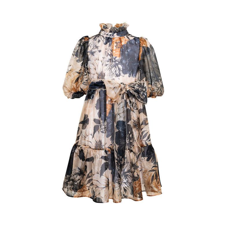 Paade Mode Multicolor Laura Maxi Chiffon Dress
