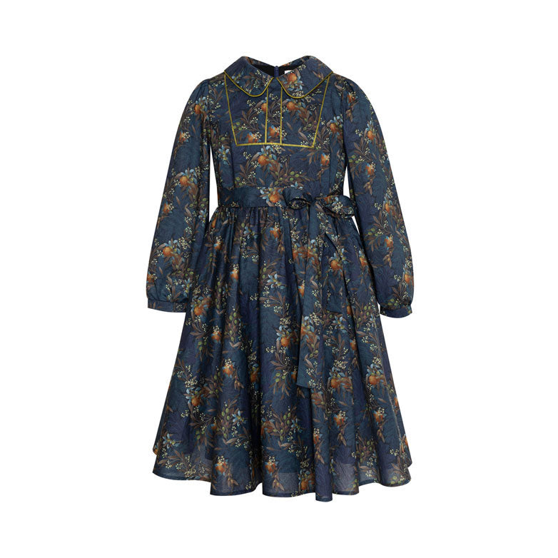 Paade Mode Multicolor Athos Maxi Cotton Dress