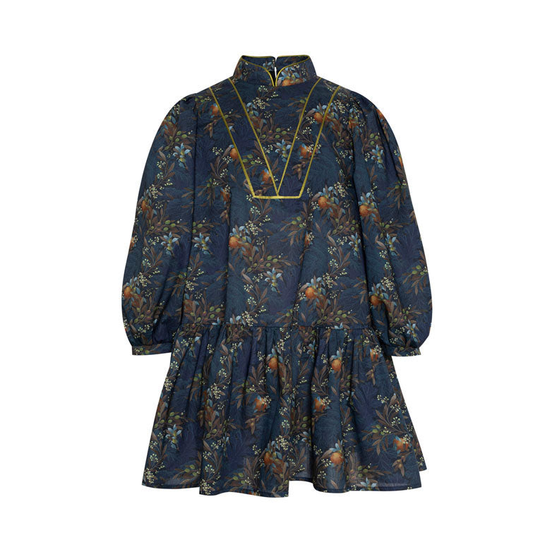 Paade Mode Multicolor Athos Cotton Dress