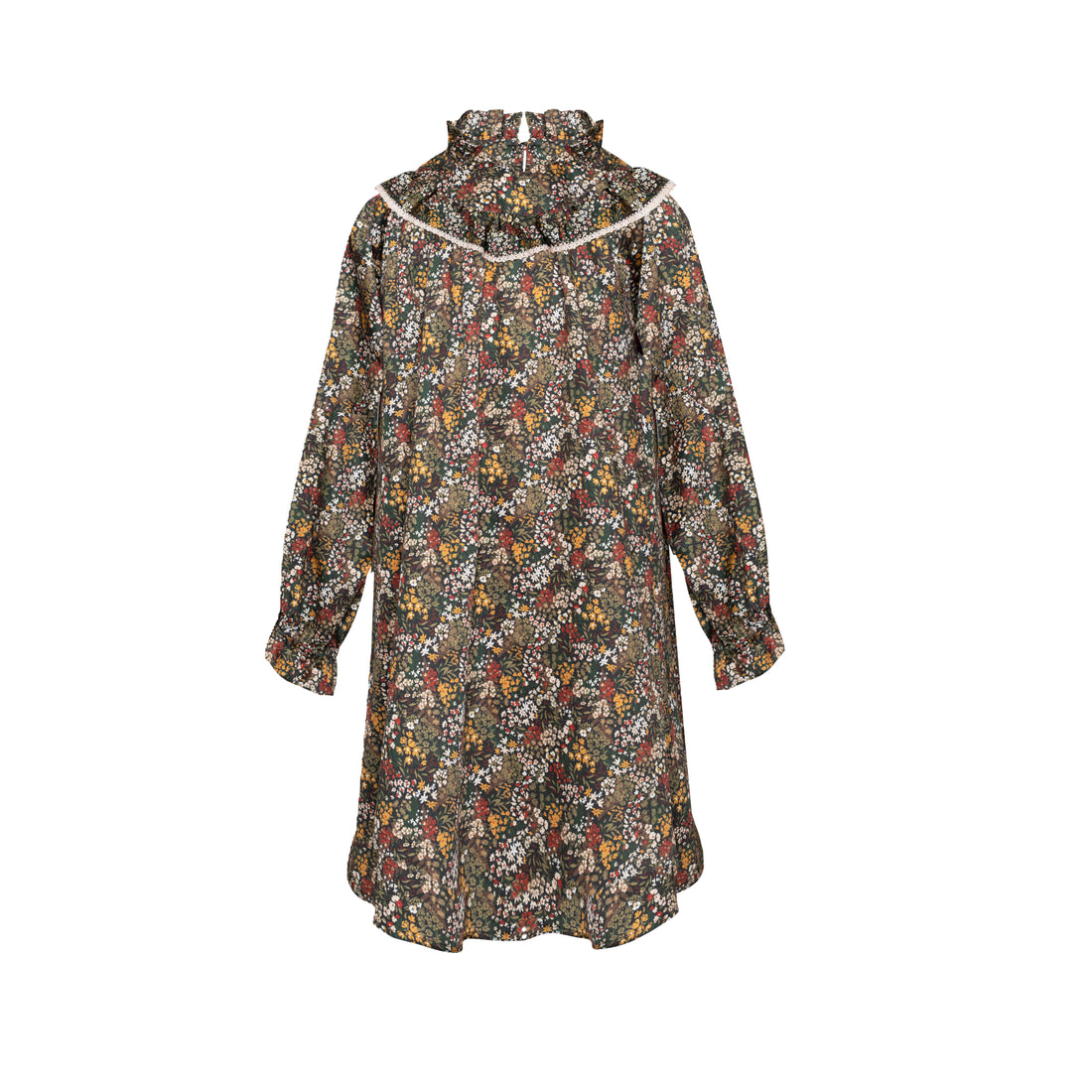 Paade Mode Multicolor Special Editon Fiora Dress