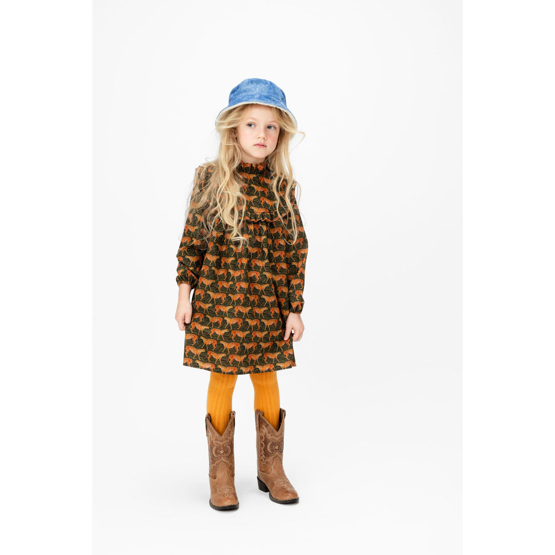 Paade Mode Multicolor Meet The Cheetahs Dress