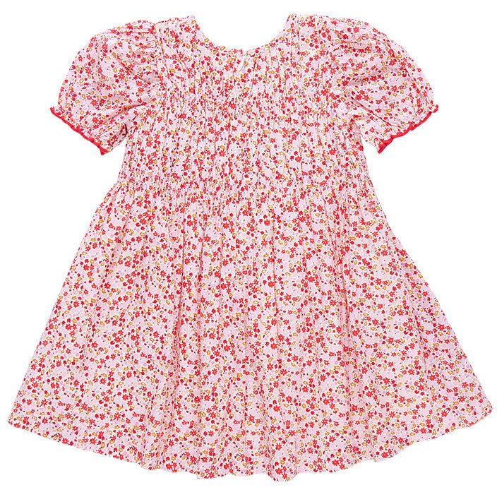 Pink Chicken Pink Mini Ditsy Waverly Dress