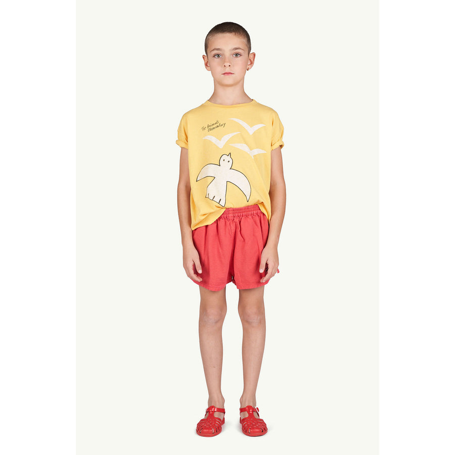 The Animals Observatory Red The Animals Spider Shorts