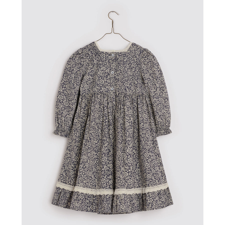Little Cotton Clothes Winter Floral Paisley Isla Dress