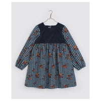 Little Cotton Clothes Rose Floral Check Nora Dress