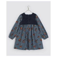 Little Cotton Clothes Rose Floral Check Nora Dress