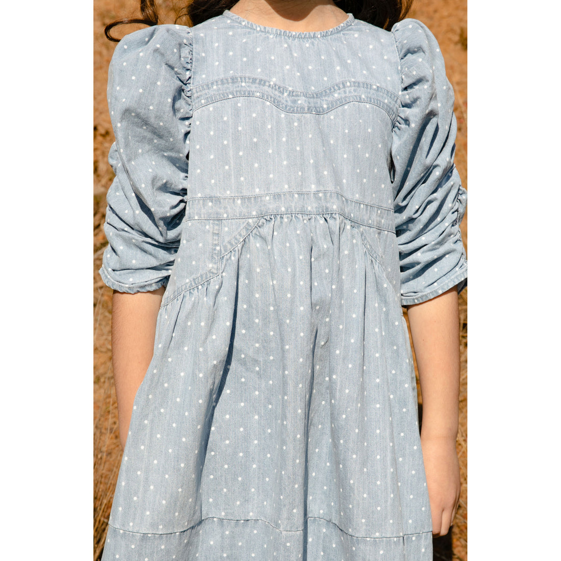 Steph Spotty Chambray Gathered Sleeve Dress