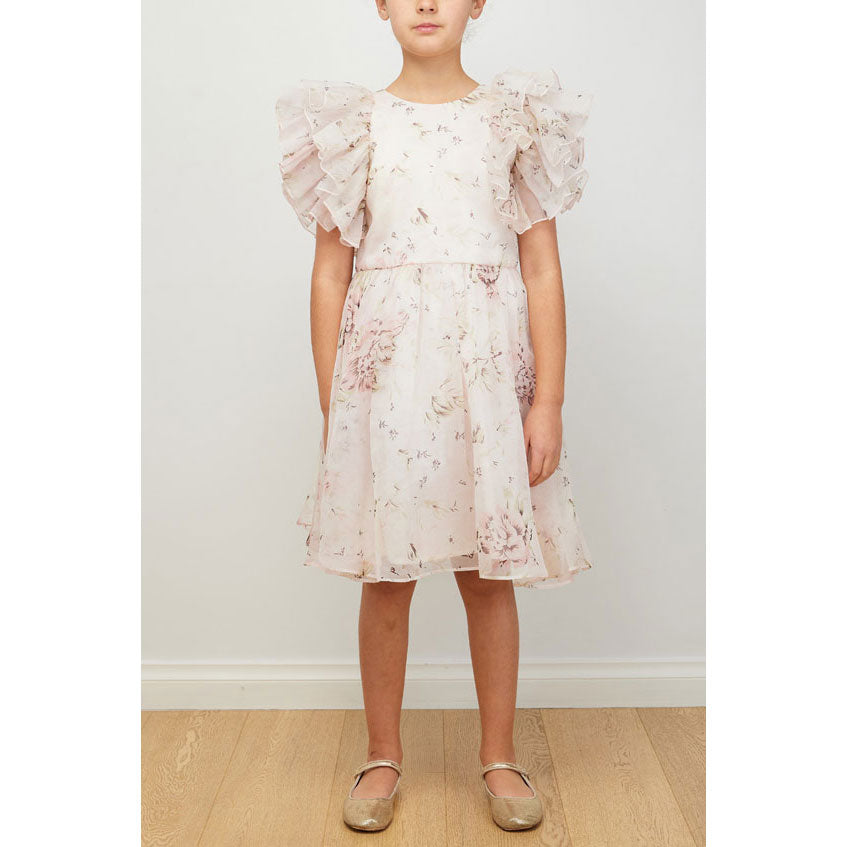 Petite Amalie Pink Print Rose Printed Organza Dress