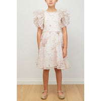 Petite Amalie Pink Print Rose Printed Organza Dress