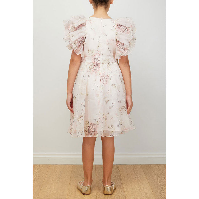 Petite Amalie Pink Print Rose Printed Organza Dress