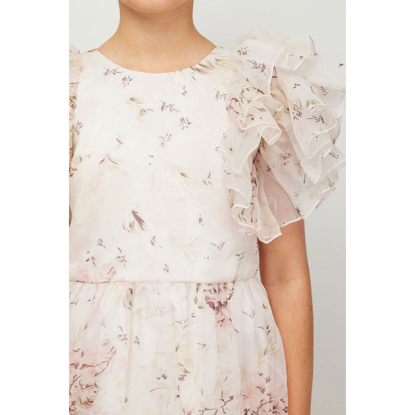 Petite Amalie Pink Print Rose Printed Organza Dress