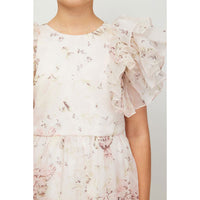 Petite Amalie Pink Print Rose Printed Organza Dress