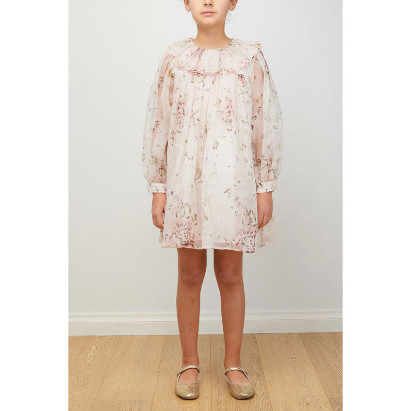 Petite Amalie Pink Print Rose Printed Organza Ruffle Collar Dress