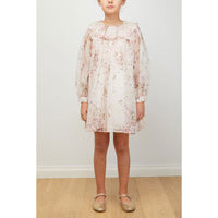 Petite Amalie Pink Print Rose Printed Organza Ruffle Collar Dress
