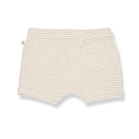 1+ In The Family bottoms 1+ In The Family Rose Salva Bloomers