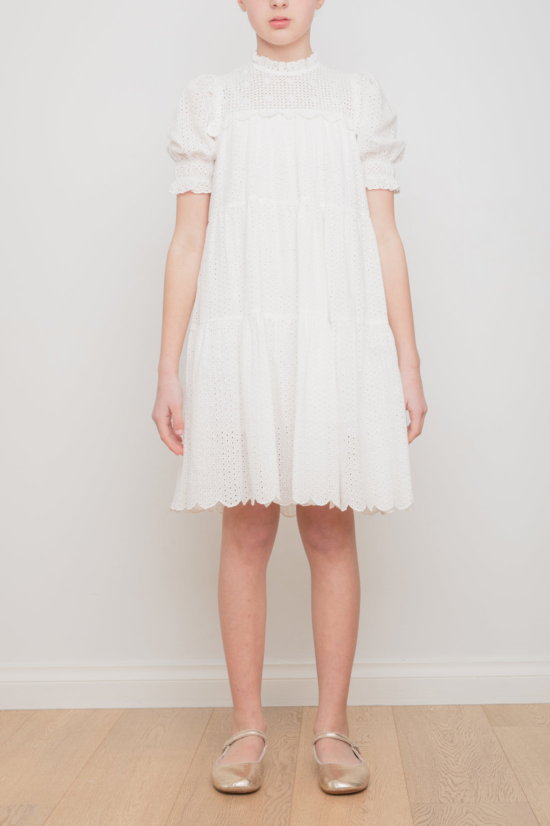 Petite Amalie Eyelet Swing Dress