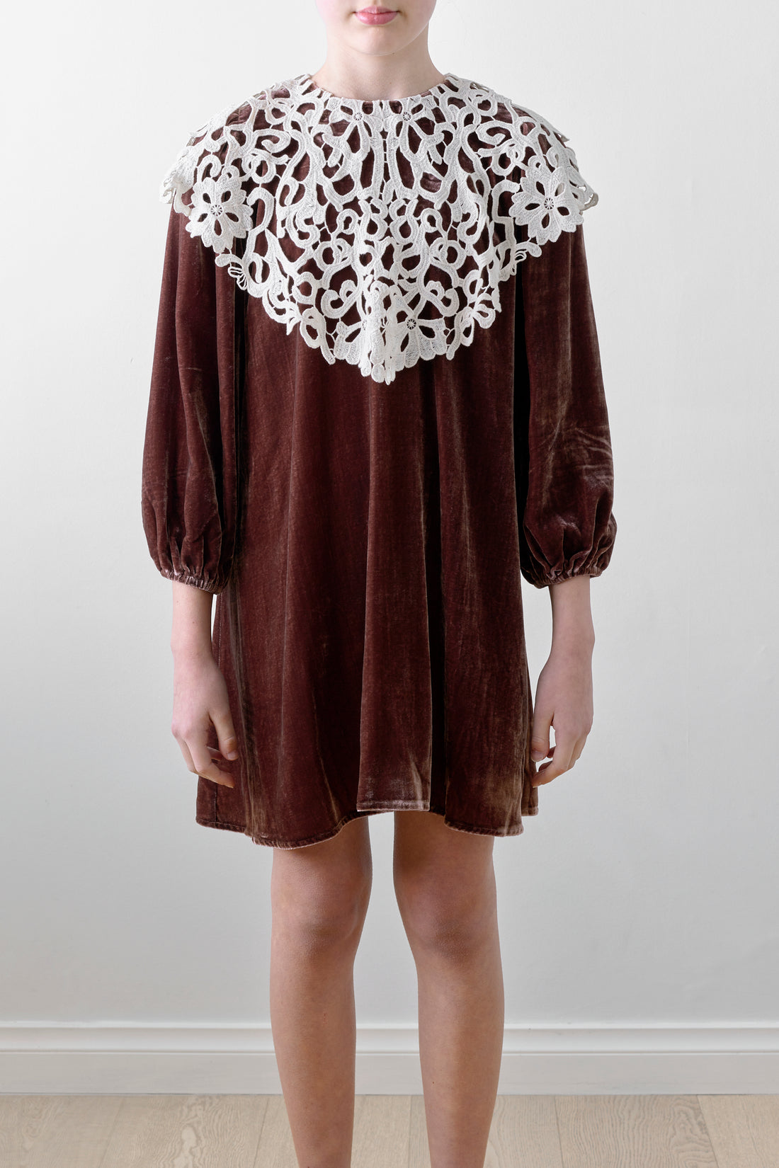 Petite Amalie Coffee Cut Out Collar Peta Velvet Dress