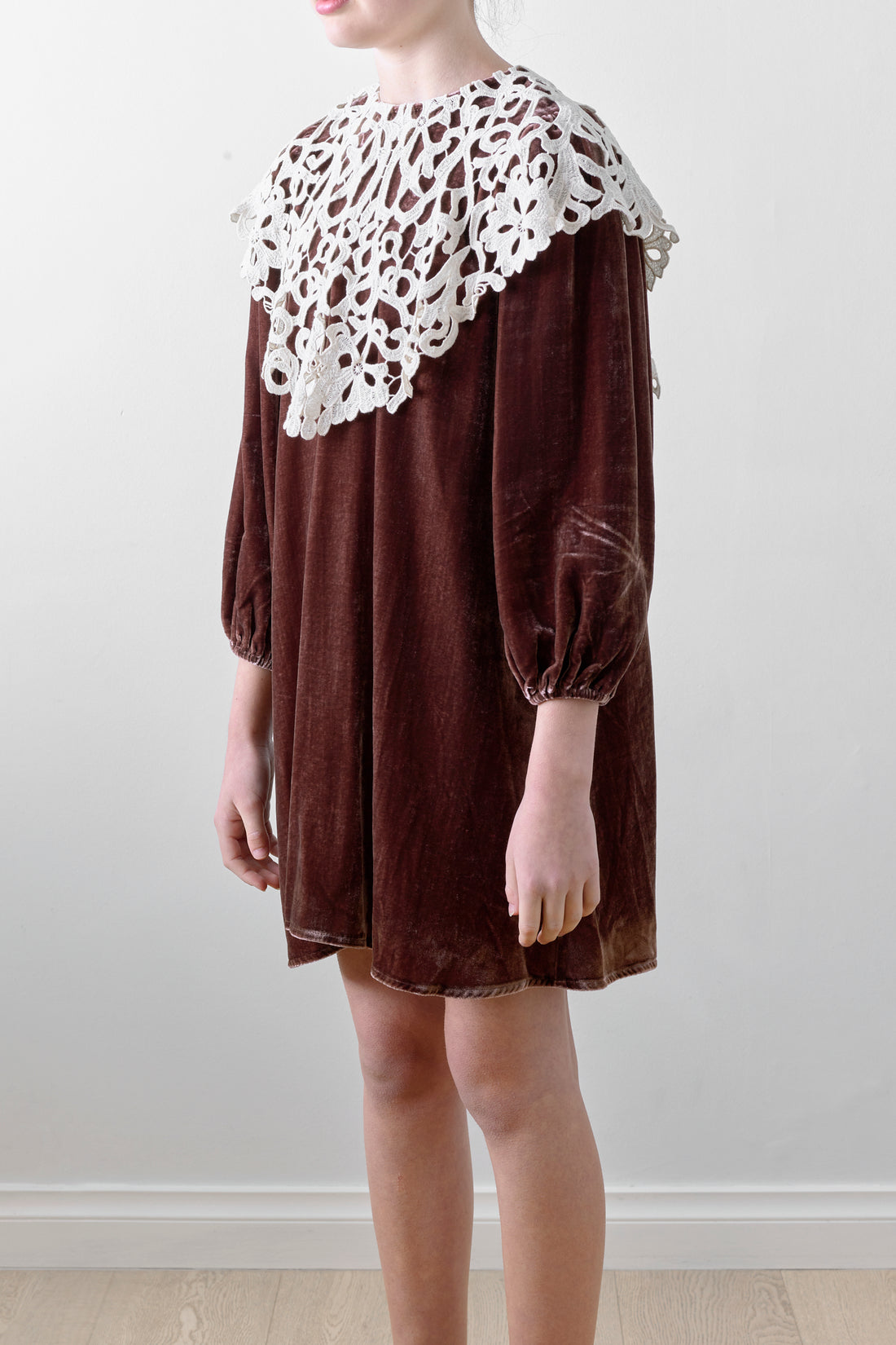 Petite Amalie Coffee Cut Out Collar Peta Velvet Dress
