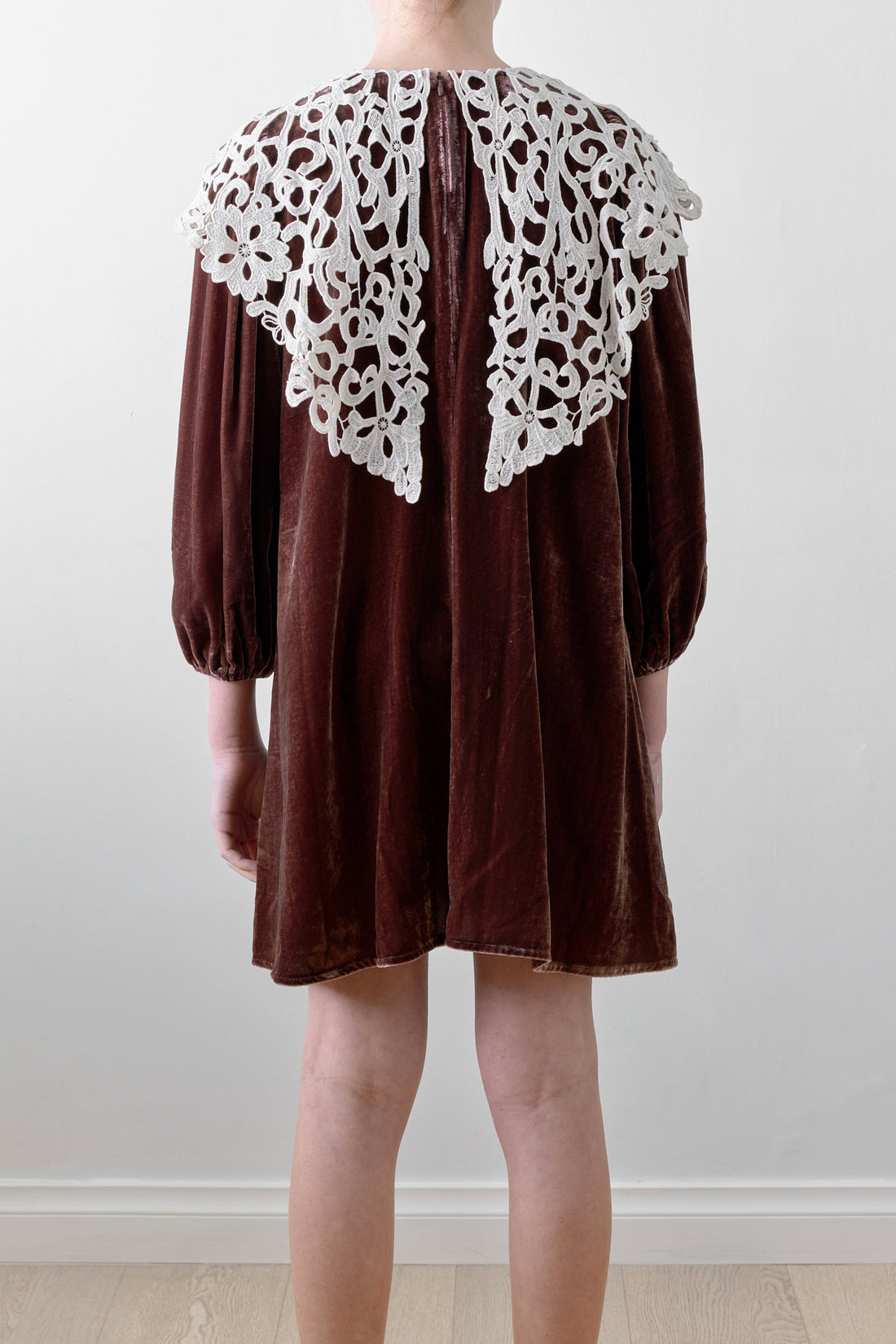 Petite Amalie Coffee Cut Out Collar Peta Velvet Dress
